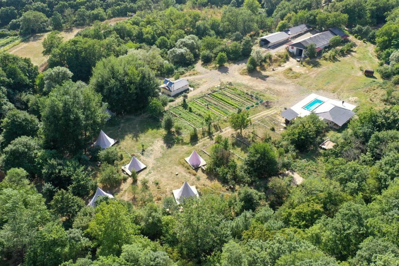Gipsy Village Park Hotel Asureti Dış mekan fotoğraf